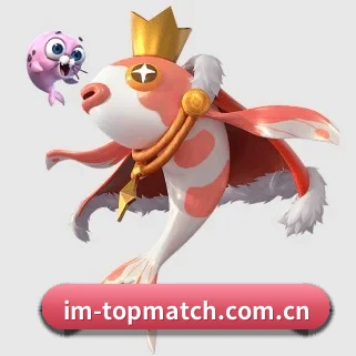 IM体育直播 APP