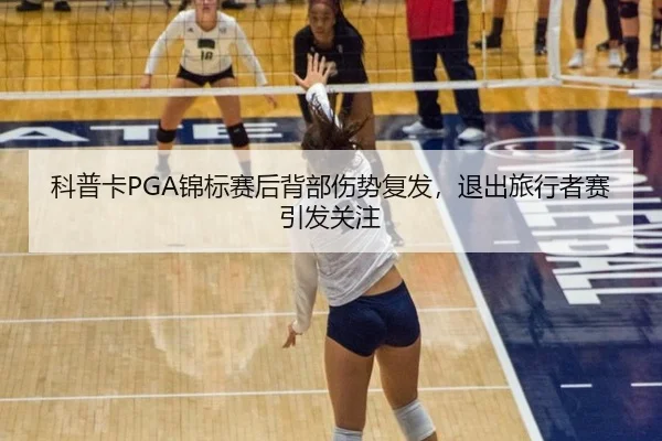 ke-pu-ka-jin-biao-sai-hou-bei-bu-shang-shi-fu-fa-tui-chu-lv-xing-zhe-sai-yin-fa-guan-zhu-3-459.jpg