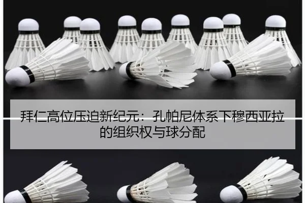 bai-ren-gao-wei-ya-po-xin-ji-yuan-kong-pa-ni-ti-xi-xia-mu-xi-ya-la-de-zu-zhi-quan-yu-qiu-fen-pei-2-350.jpg